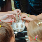 Семейный фестиваль Family fast Dessange совместно с салоном «Кенгуру», Casa Italia