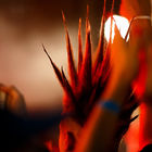 Концерт КняzZ c программой «Камнем по голове»