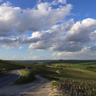 ВЫСТАВКА - ПРОДАЖА Art Fusion
"Партитура себя"