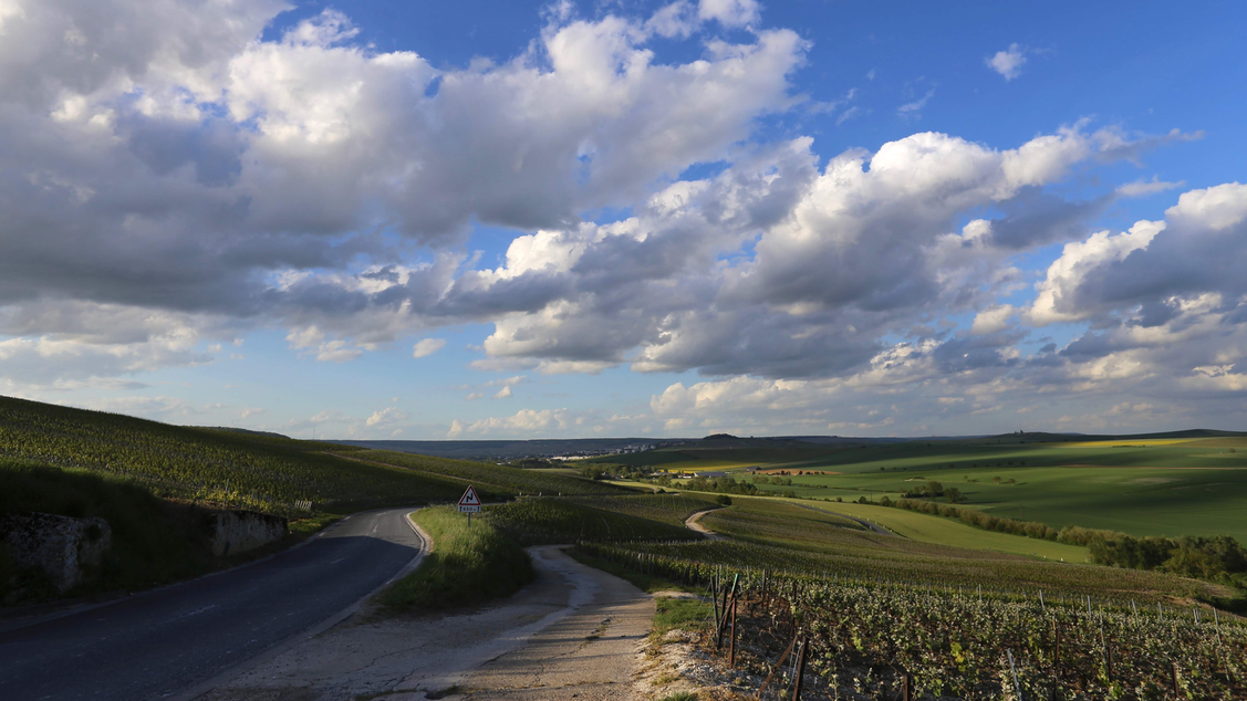 ВЫСТАВКА - ПРОДАЖА Art Fusion
"Партитура себя"